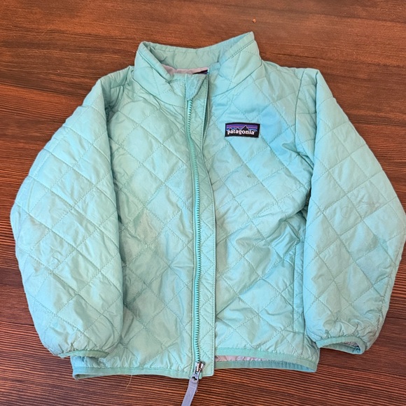 Patagonia Other - Patagonia Light Green Quilted Jacket